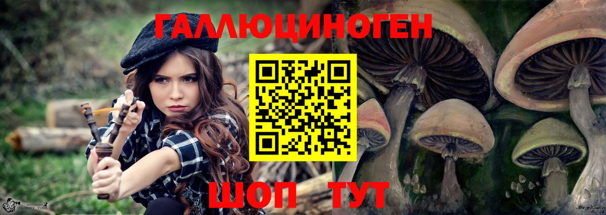 Псилоцибиновые грибы GOLDEN TEACHER Карпинск